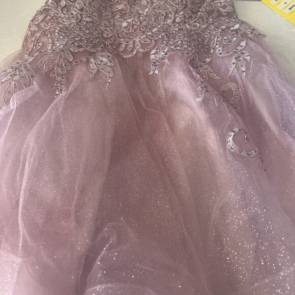 SALE NWT May Queen MQ1816 Beaded/Sheer Cocktail Dress Mauve size 10 - Picture 8 of 8